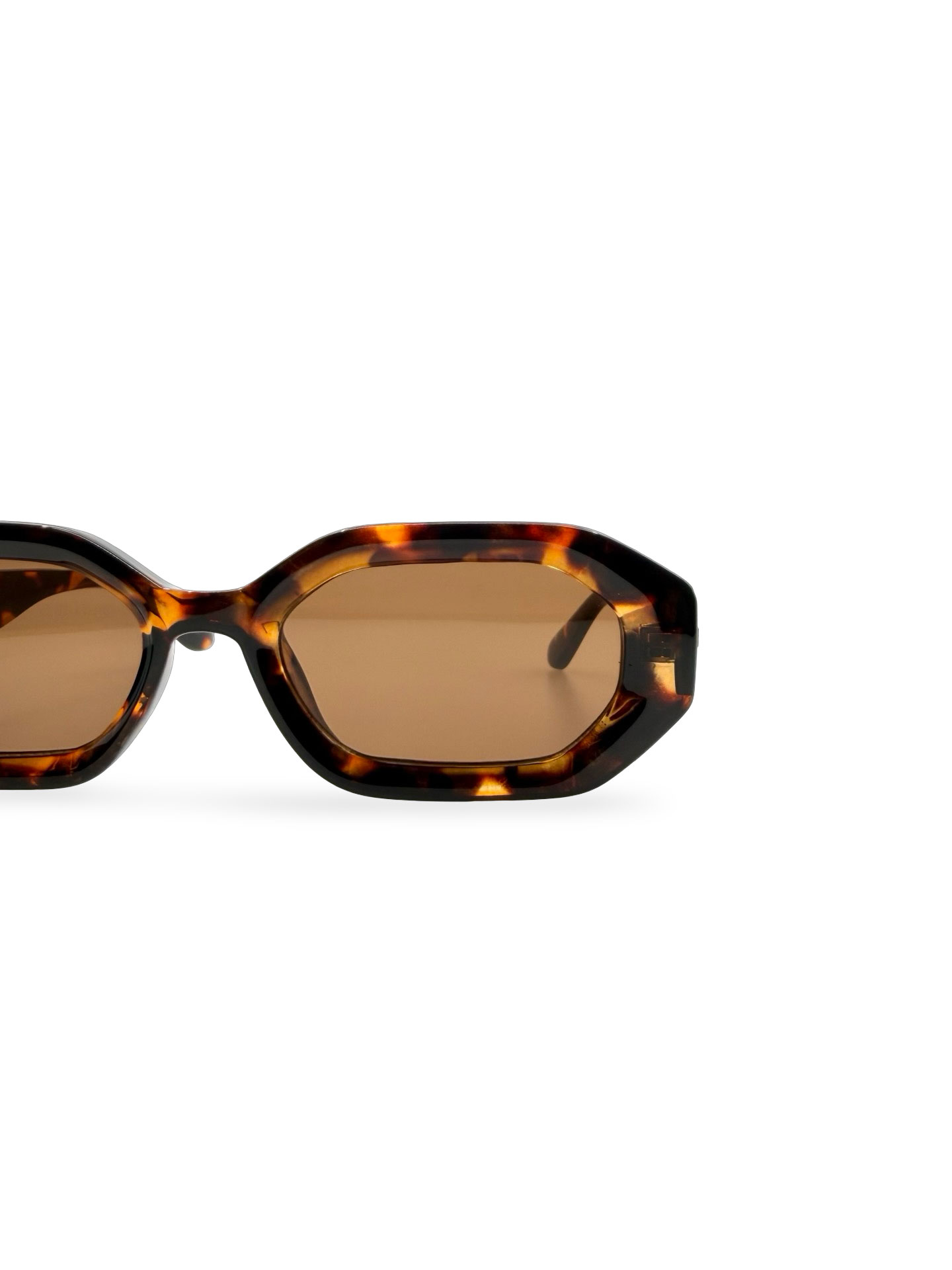 Pigeon Brown - Imagen 2
