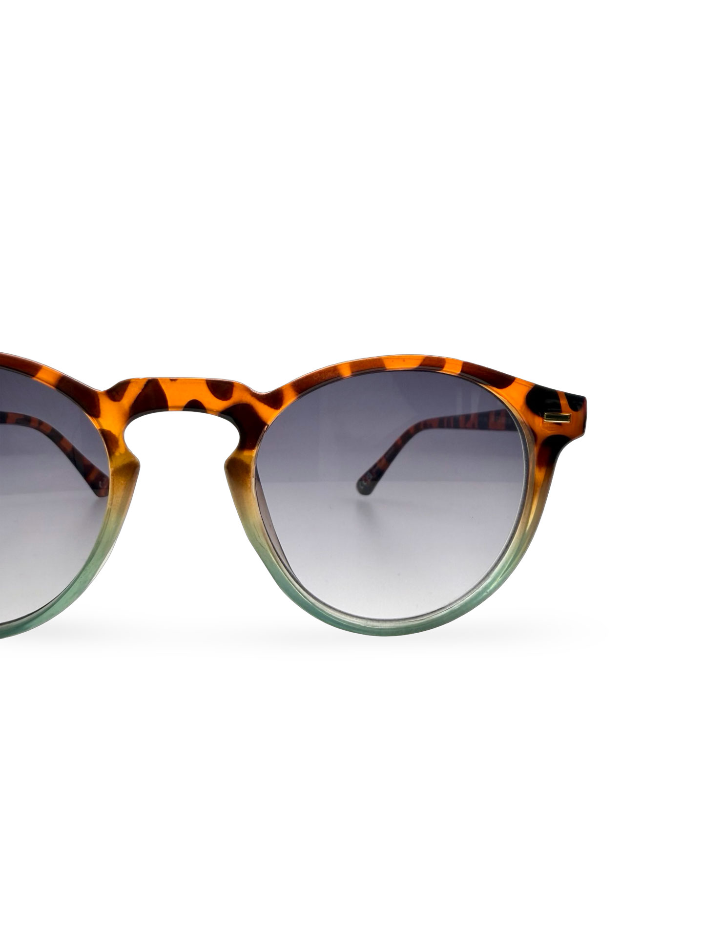 Natal Leopard - Imagen 2