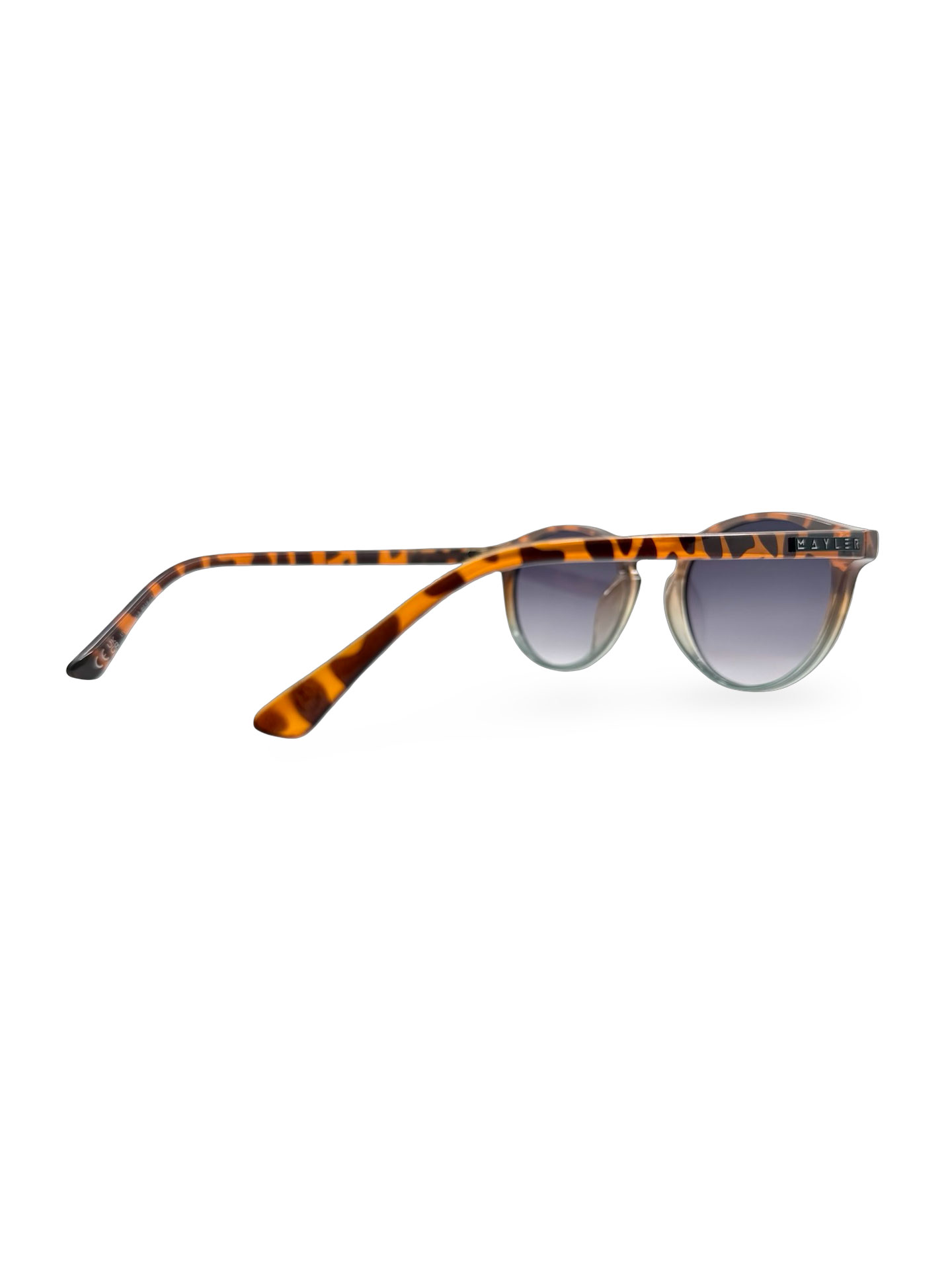 Natal Leopard - Imagen 5