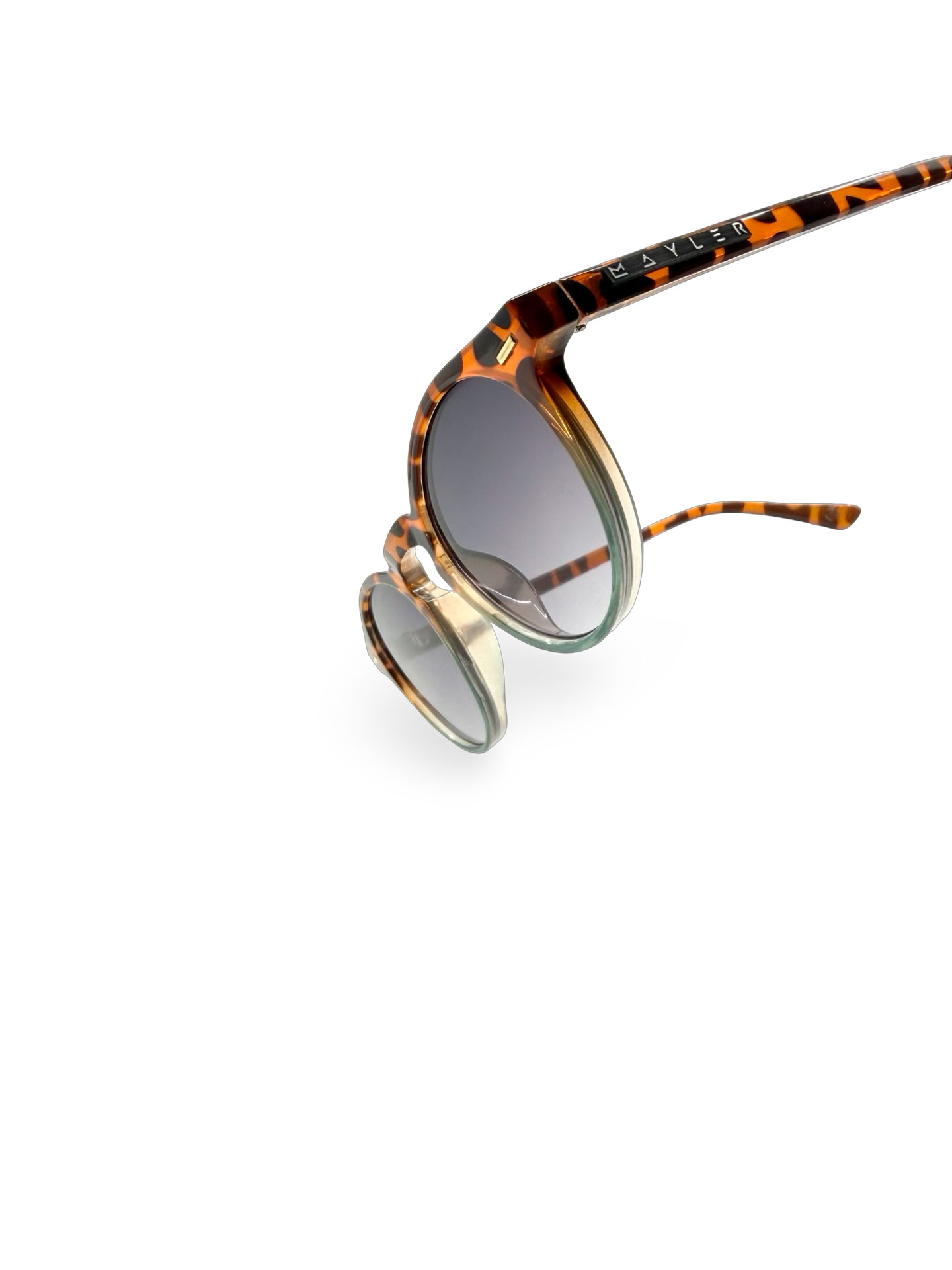 Natal Leopard - Imagen 7