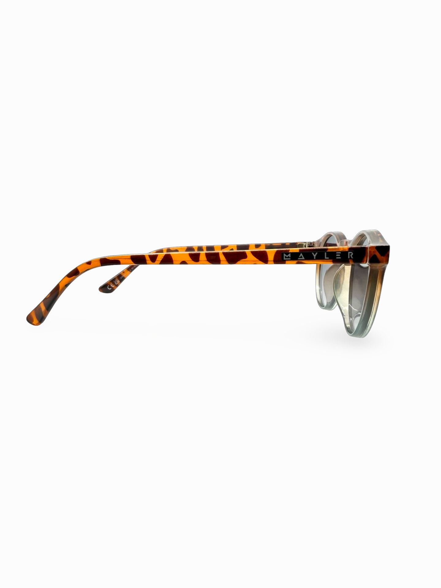 Natal Leopard - Imagen 8