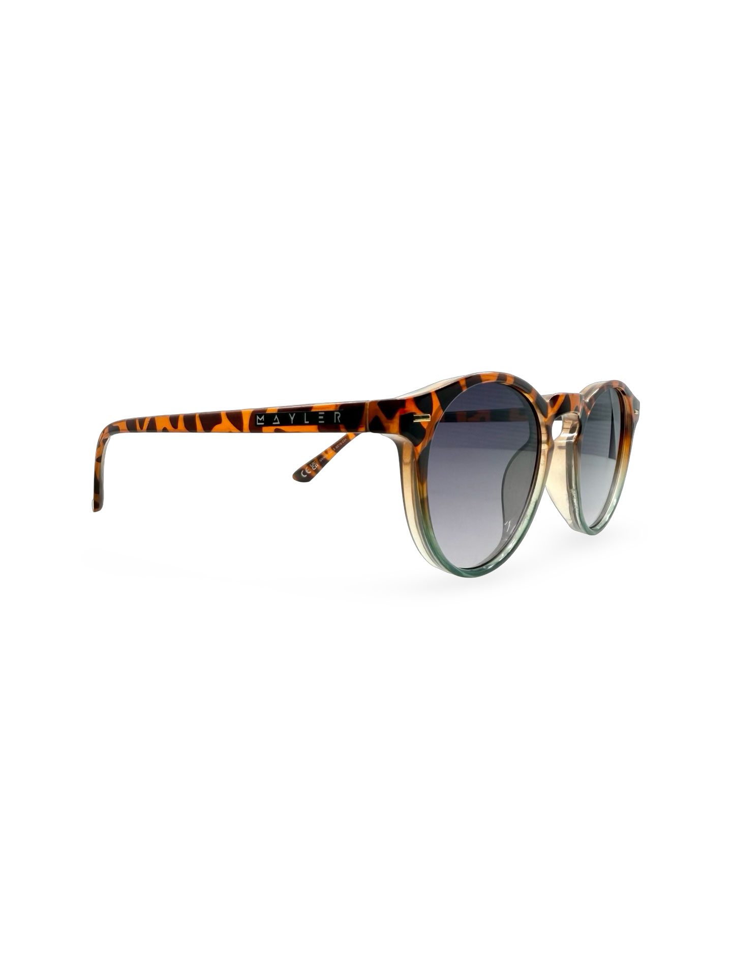 Natal Leopard - Imagen 3